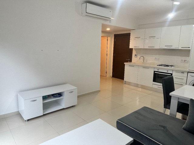 1 Bedroom Newly Fully Furnished Flat for Rent in Caddemm (1+1)