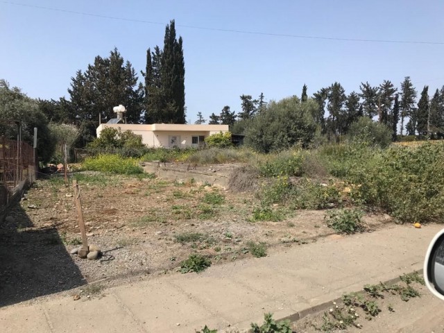 LAND FOR SALE DEC GUZELYURT ** 