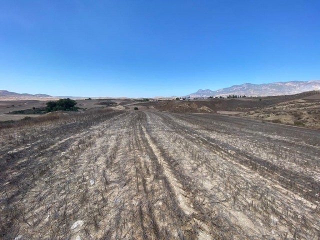 A Field for Sale in Yılmazköy ** 