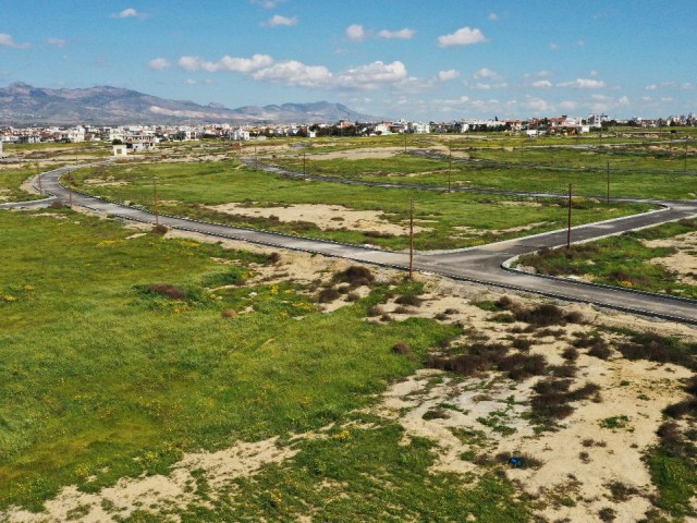 LAND FOR A MARTYR'S CHILD FOR SALE IN METEHAN