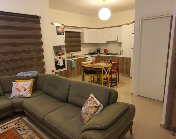 2+1 FLAT FOR RENT IN GÖNYELİ🏠