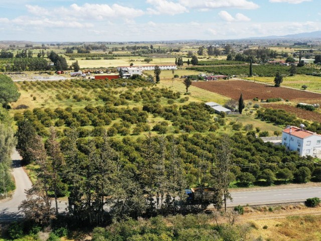 LAND FOR SALE IN GÜZELYURT