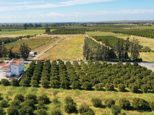 LAND FOR SALE IN GÜZELYURT