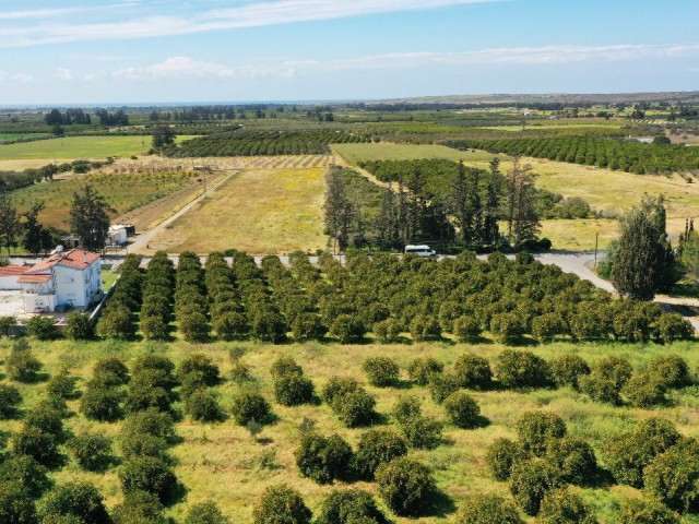 LAND FOR SALE IN GÜZELYURT