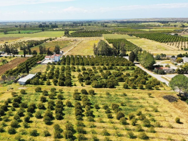 LAND FOR SALE IN GÜZELYURT