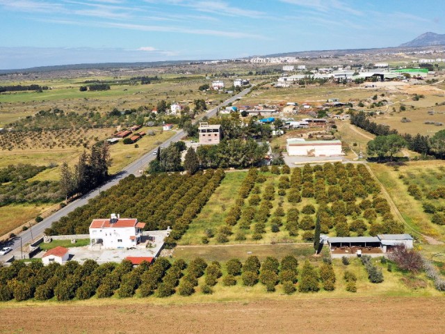 GÜZELYURT KALKANLI'DA SATILIK ARAZİ