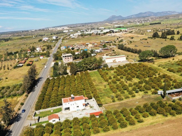 LAND FOR SALE IN GÜZELYURT