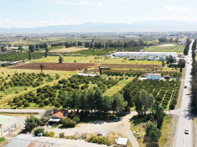 LAND FOR SALE IN GÜZELYURT