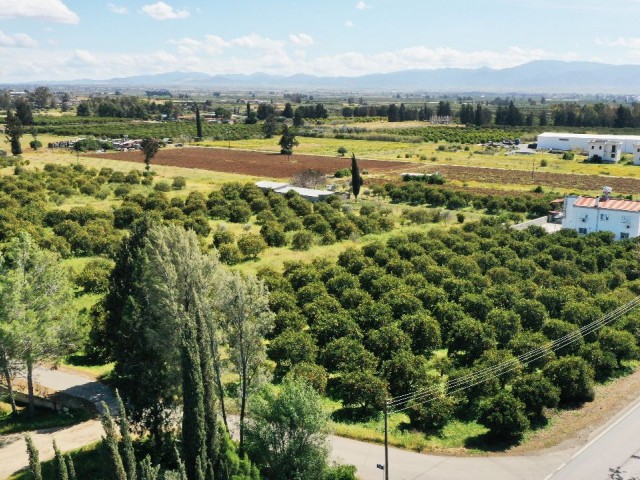 LAND FOR SALE IN GÜZELYURT