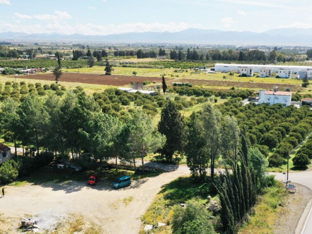 GRUNDSTÜCK ZUM VERKAUF IN GÜZELYURT