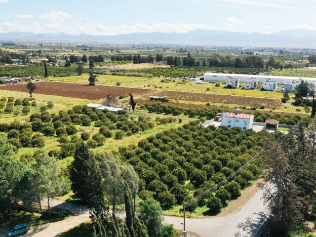 LAND FOR SALE IN GÜZELYURT