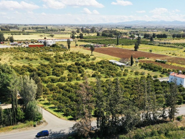 LAND FOR SALE IN GÜZELYURT