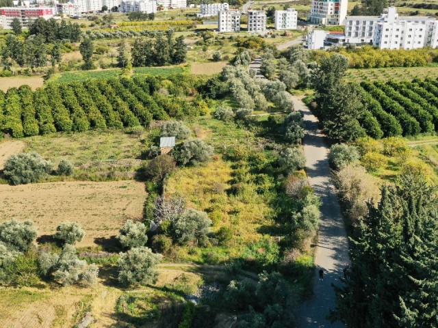 GRUNDSTÜCK ZUM VERKAUF IN GEMİKONAĞI