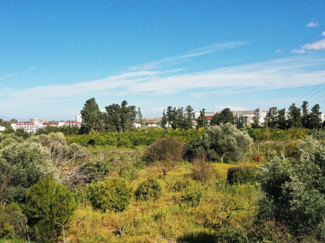 GRUNDSTÜCK ZUM VERKAUF IN GEMİKONAĞI