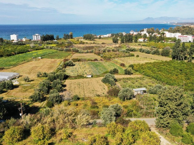 LAND FOR SALE IN GEMİKONAĞI