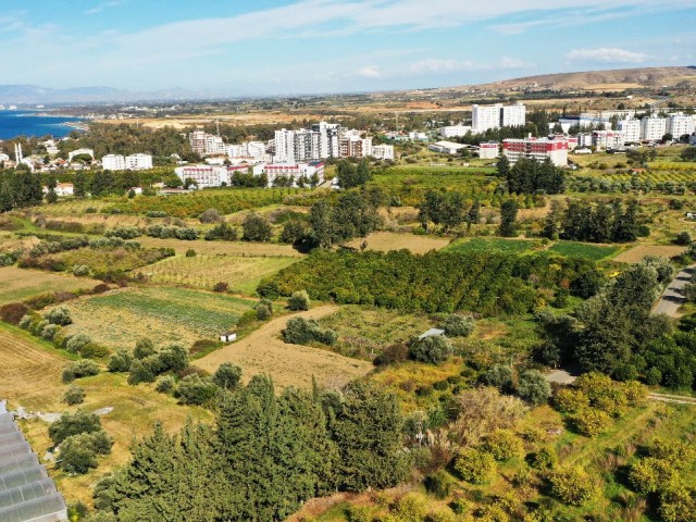 GRUNDSTÜCK ZUM VERKAUF IN GEMİKONAĞI