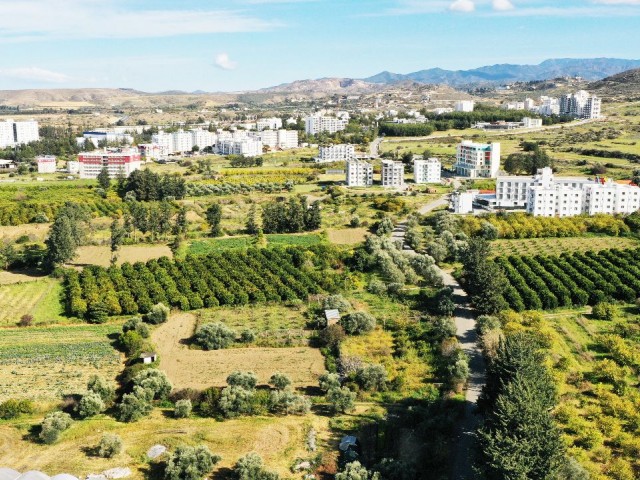 GRUNDSTÜCK ZUM VERKAUF IN GEMİKONAĞI