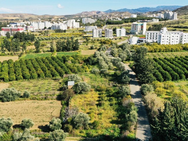 GRUNDSTÜCK ZUM VERKAUF IN GEMİKONAĞI