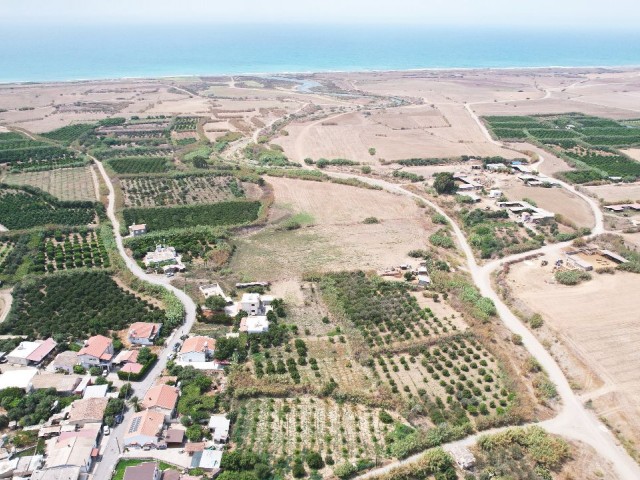 زمین برای فروش در KUMKÖY GÜZELYURT