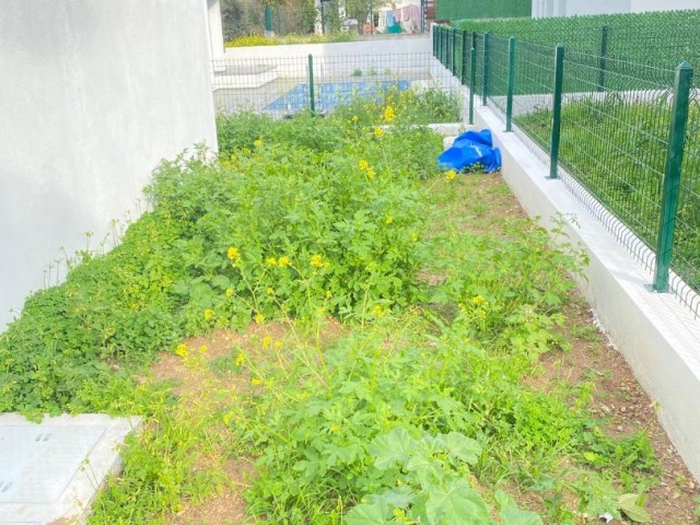 اجاره ویلا 3+1 نو مبله با استخر و باغ اختصاصی در اوزانکوی