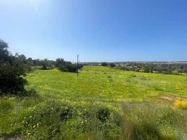 VILLA ON THE MAIN ROAD BETWEEN YEŞİLKÖY-YENI ERENKÖY, 5 DECLARES OF LAND SUITABLE FOR A GAS STATION