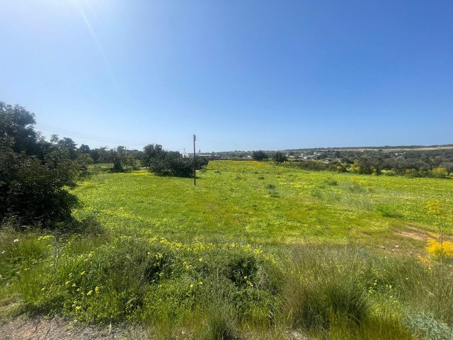 VILLA ON THE MAIN ROAD BETWEEN YEŞİLKÖY-YENI ERENKÖY, 5 DECLARES OF LAND SUITABLE FOR A GAS STATION