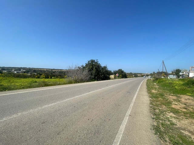 VILLA ON THE MAIN ROAD BETWEEN YEŞİLKÖY-YENI ERENKÖY, 5 DECLARES OF LAND SUITABLE FOR A GAS STATION