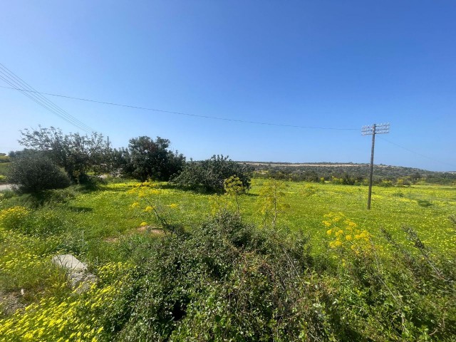 VILLA ON THE MAIN ROAD BETWEEN YEŞİLKÖY-YENI ERENKÖY, 5 DECLARES OF LAND SUITABLE FOR A GAS STATION