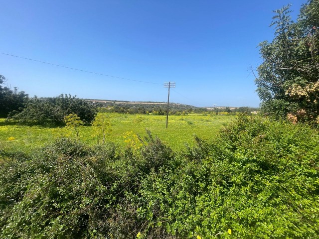 VILLA ON THE MAIN ROAD BETWEEN YEŞİLKÖY-YENI ERENKÖY, 5 DECLARES OF LAND SUITABLE FOR A GAS STATION