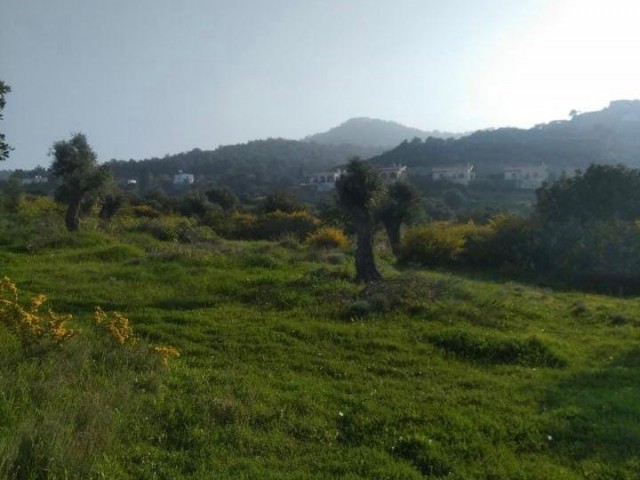 Kyrenia /Kayalar Land for Sale with Sea View is also Not Closed Dec ** 