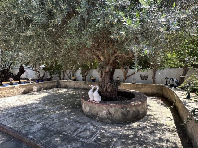 Duplex-Villa mit privatem Pool zum VERKAUF in einem 1 Dekaden großen, völlig freistehenden Garten in Ozanköy, Kyrenia