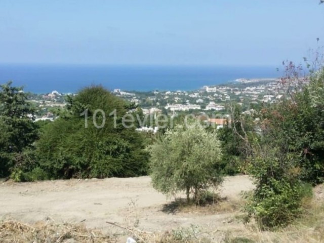 LAND FOR SALE IN KYRENIA &amp; LAPTA BASPINAR ** 