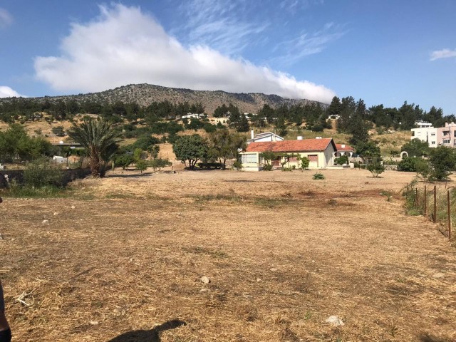 TURKISH LAND FOR SALE WITH COMMERCIAL PERMISSION IN GIRNE BOSPHORUS LOCATION ** 