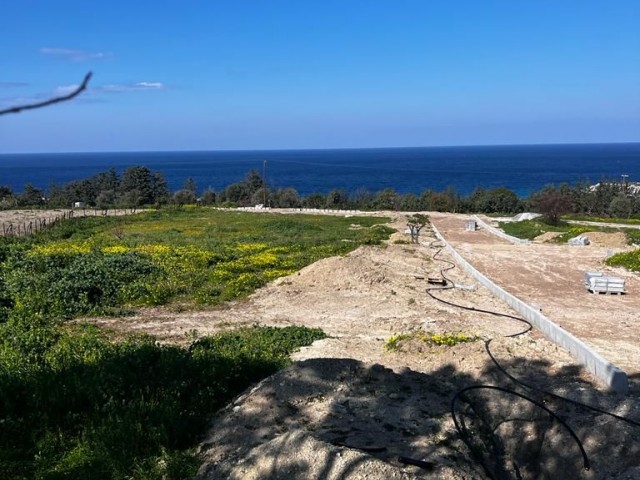 LANDS FOR SALE LANDS FOR SEA IN GIRNE&ESENTEPE!