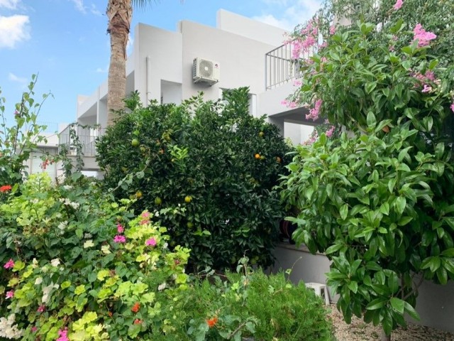 3+1 DETACHED FOR SALE IN ALSANCAK MİLOS PARK COMPLEX