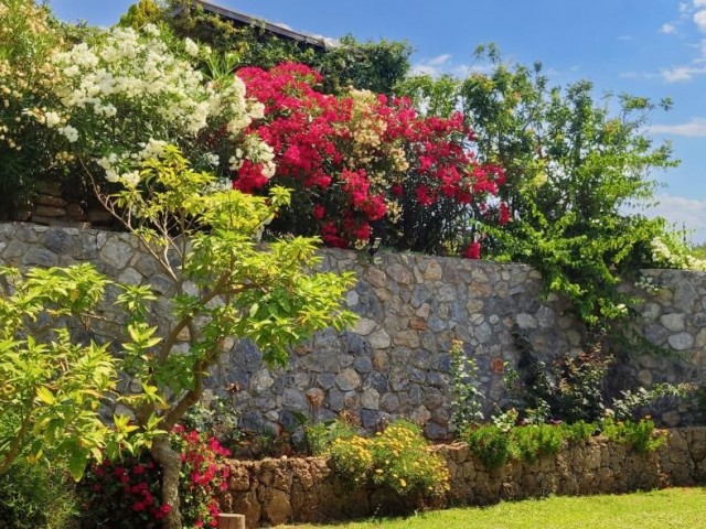 VILLA ZU VERKAUFEN IN ARAPKÖY, GIRNE, MIT DER MAGIE DER NATUR