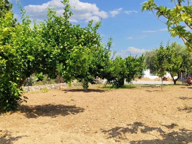 VILLA ZU VERKAUFEN IN ARAPKÖY, GIRNE, MIT DER MAGIE DER NATUR