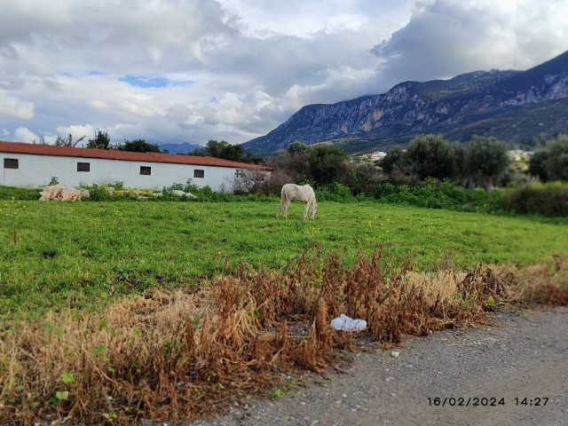 NEUE VILLA MIT PRIVATEM POOL ZUM VERKAUF IN KARŞIYAKA