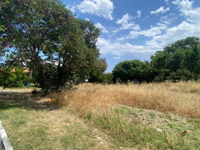 GRUNDSTÜCK ZUM VERKAUF IN ALSANCAK, IN FÜHRLICHER ENTFERNUNG ZUM MEER