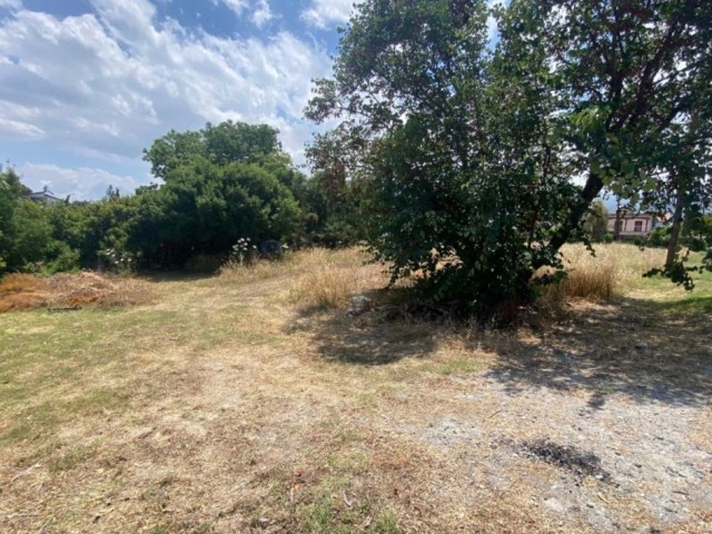 GRUNDSTÜCK ZUM VERKAUF IN ALSANCAK, IN FÜHRLICHER ENTFERNUNG ZUM MEER