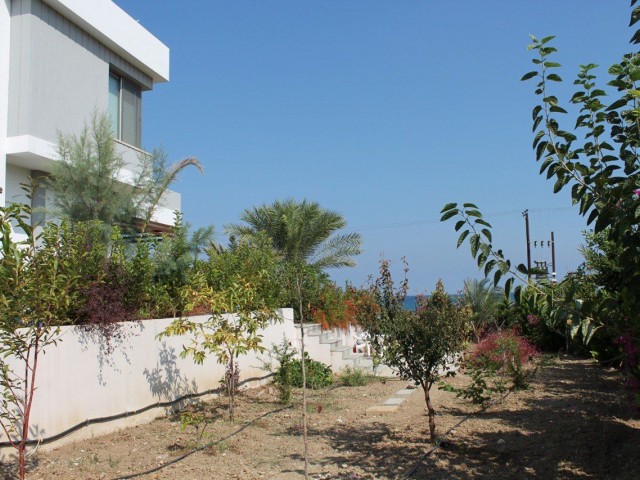 Kyrenia - Alagadi, beachfront villa 5-1