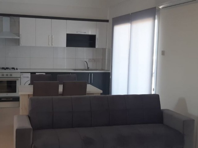 CIRNE - LAPTA APARTMENT FOR RENT 1+1. 