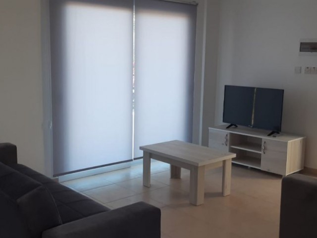 CIRNE - LAPTA APARTMENT FOR RENT 1+1. 