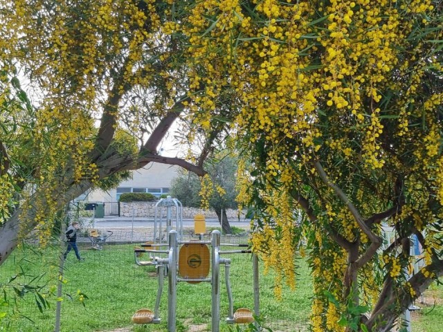 GIRNE - ESENTEPE 1+1 SATILIK DAIRE. İngilizce, Türkçe, Rusça konuşuyoruz.