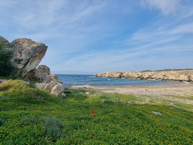 GIRNE - ESENTEPE 1+1 SATILIK DAIRE. İngilizce, Türkçe, Rusça konuşuyoruz.