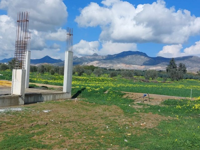 4+1 Villenprojekte werden im Dorf Minareli, Nikosia, zum Verkauf angeboten. Die Preise beginnen bei 255.000 GBP. Meine Show ist sichtbar.