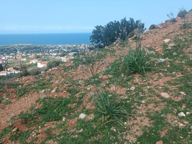 Türkisches Maiskolbenland zum Verkauf in Kyrenia Karsiyaka mit herrlichem Blick auf die Berge und das Meer / 90° Zoneneinteilung offen