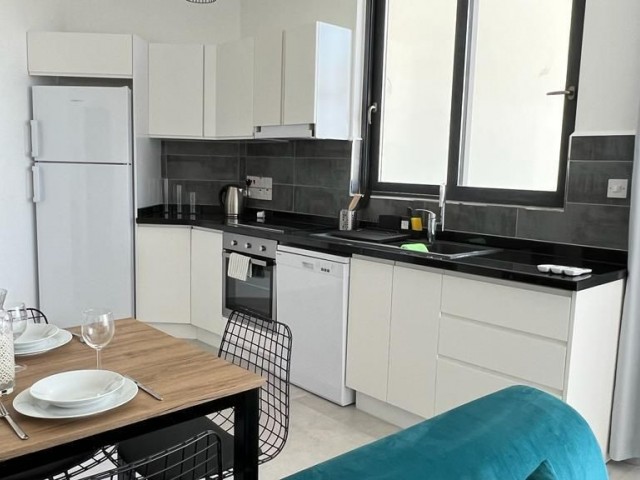 There is a 2+1 apartment for rent in Lefke-Gaziveren, as well as a penthouse apartment with a private exit.