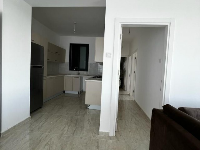 Newly completed 1+1 flats for sale in Gaziveren, Lefke