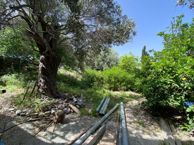 2+1 Einfamilienhaus zum Verkauf in Girne Karşıyaka